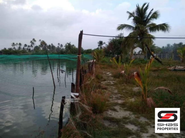 Fish farm for sale in Chellanam, Kochi