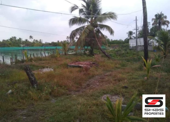 Fish farm for sale in Chellanam, Kochi