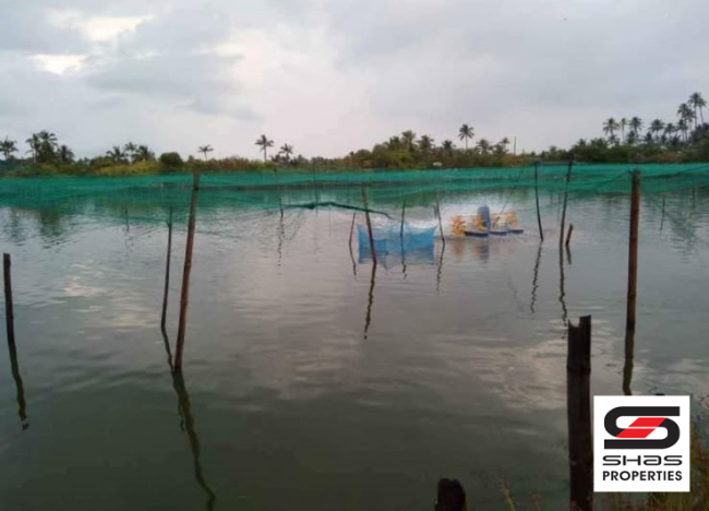 Fish farm for sale in Chellanam, Kochi