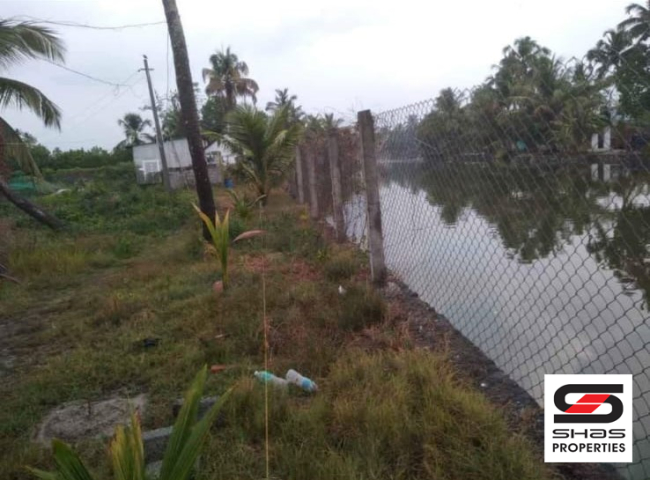 Fish farm for sale in Chellanam, Kochi