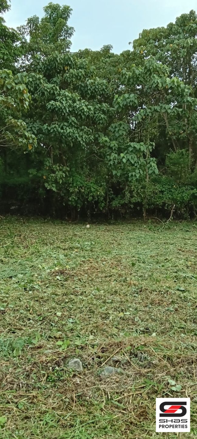 House plot for sale near Medical College, Thrissur