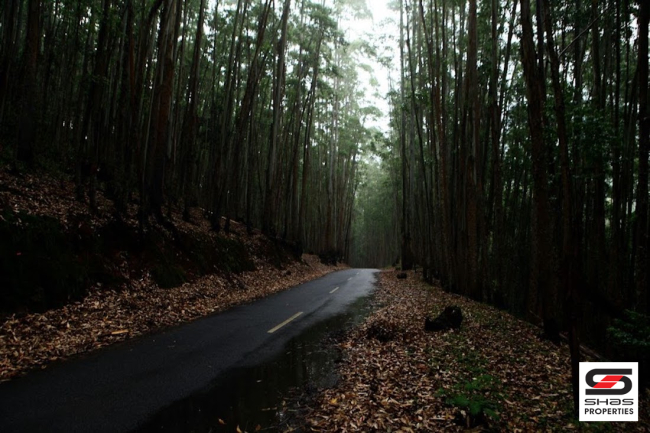 Resort land for sale in Vattavada, Idukki