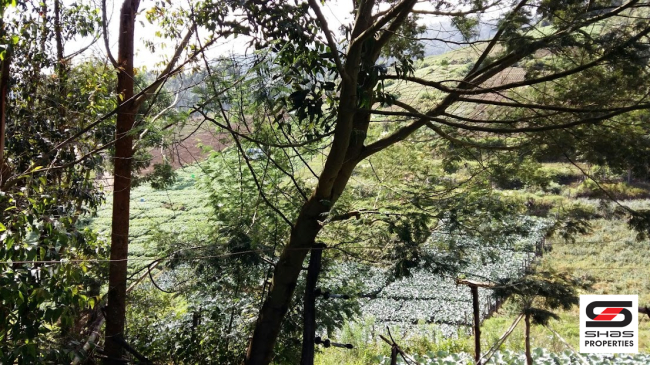 Resort land for sale in Vattavada, Idukki