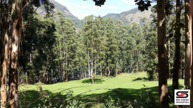 Resort land for sale in Vattavada, Idukki