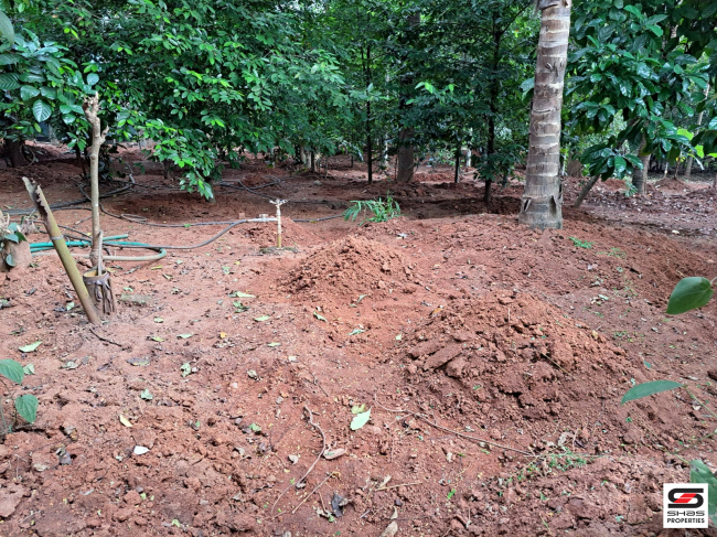 Land with house for sale in Poochatty, Thrissur