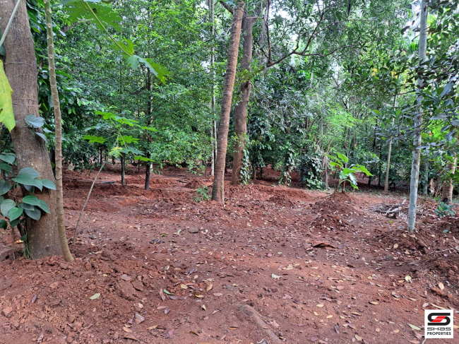 Land with house for sale in Poochatty, Thrissur
