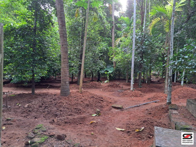 Land with house for sale in Poochatty, Thrissur