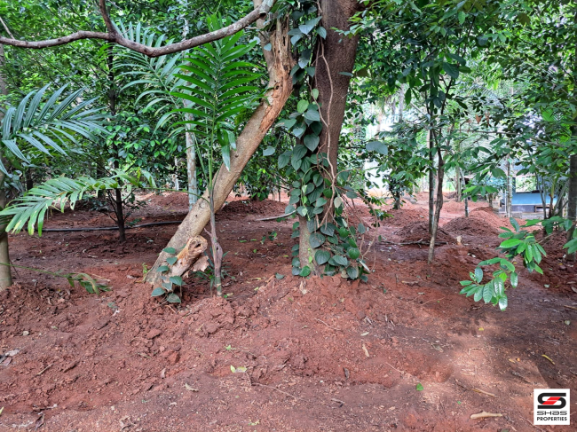 Land with house for sale in Poochatty, Thrissur