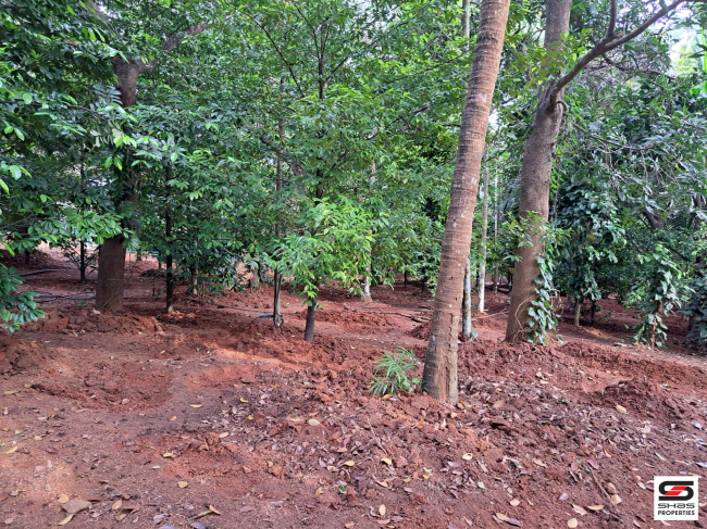 Land with house for sale in Poochatty, Thrissur