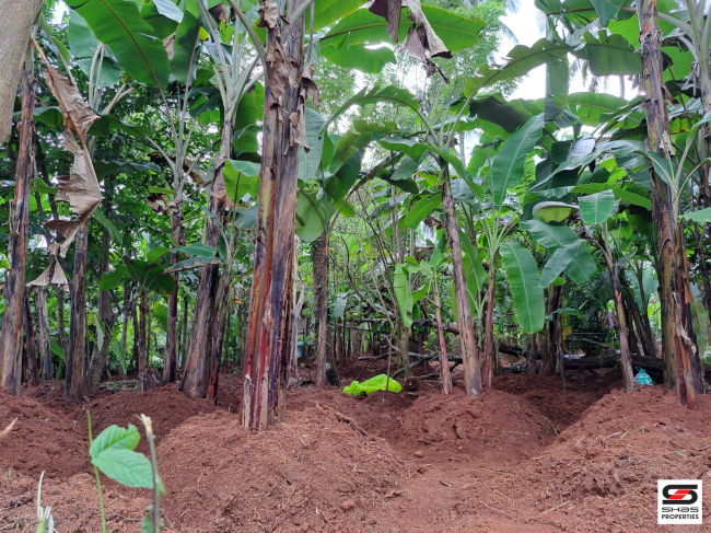 Land with house for sale in Poochatty, Thrissur