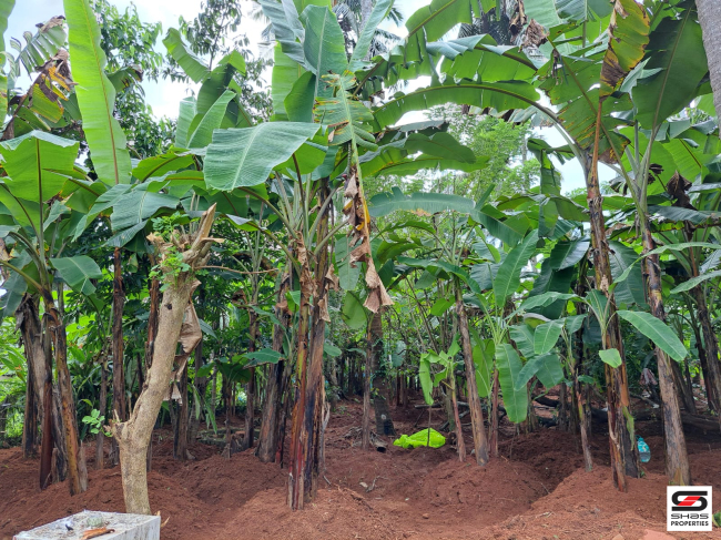 Land with house for sale in Poochatty, Thrissur