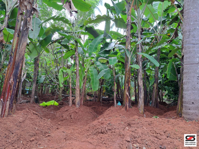 Land with house for sale in Poochatty, Thrissur