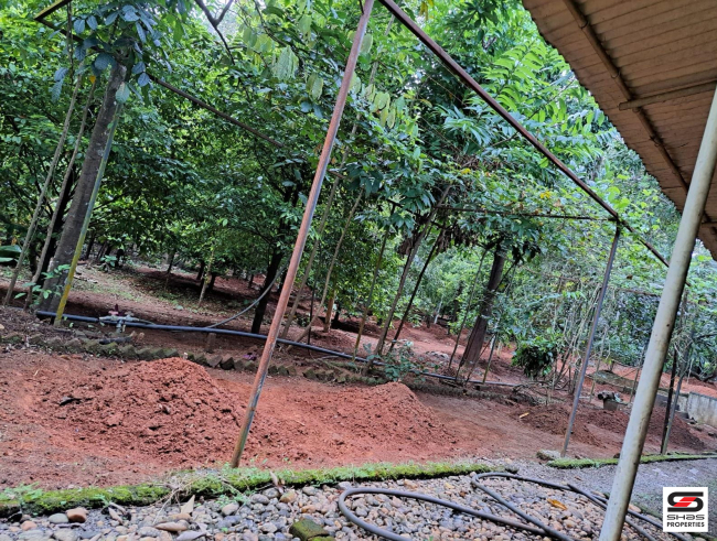 Land with house for sale in Poochatty, Thrissur
