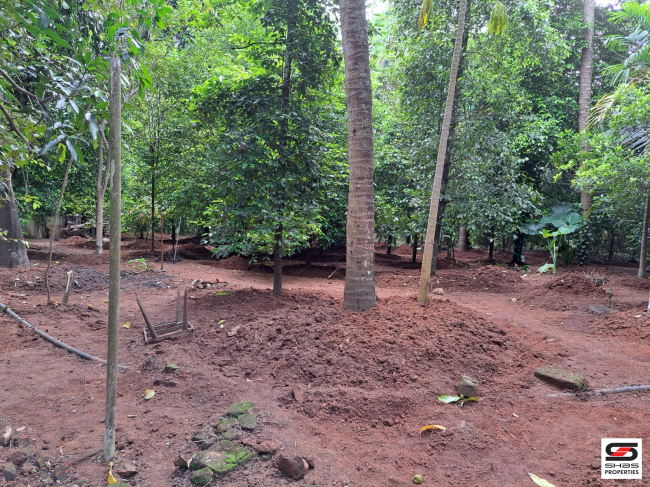 Land with house for sale in Poochatty, Thrissur
