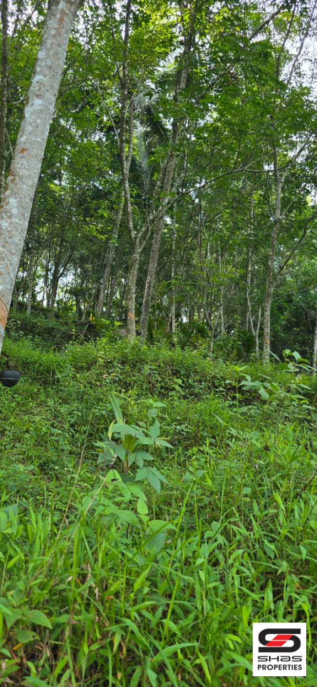 Rubber plot for sale in Engapuzha, Kozhikode
