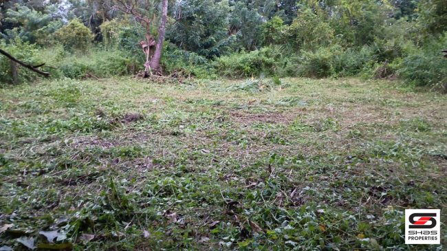 House plot for sale in Elappully, Palakkad