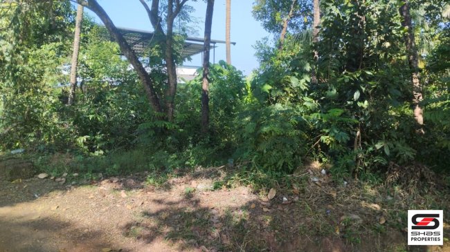 Residential plot for sale in Kottali, Kannur