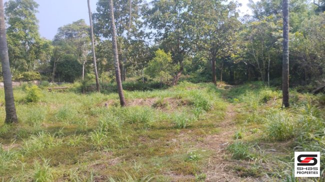Land for sale in Thottada, Kannur
