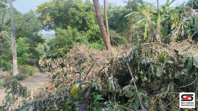 Plot for sale near Thottada, Kannur