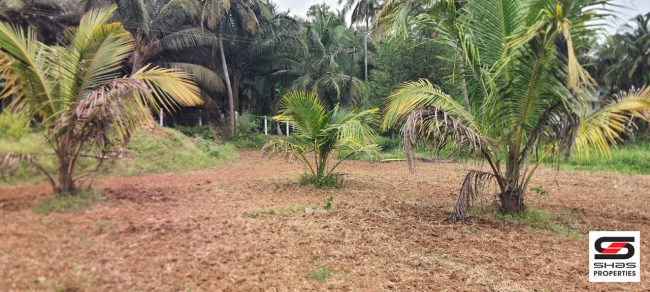 Farmland for sale in Kozhinjampara, Palakkad