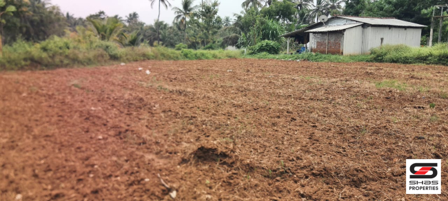 Farmland for sale in Kozhinjampara, Palakkad