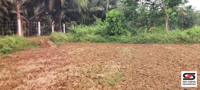 Farmland for sale in Kozhinjampara, Palakkad