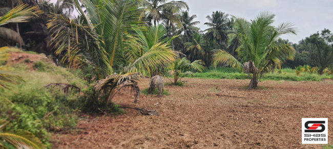 Farmland for sale in Kozhinjampara, Palakkad