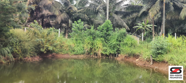 Farmland for sale in Kozhinjampara, Palakkad