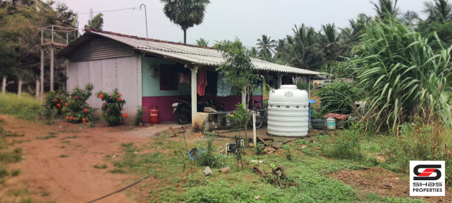Farmland for sale in Kozhinjampara, Palakkad