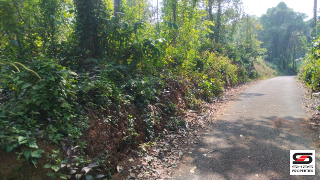 Residential land for sale in Thottada, Kannur