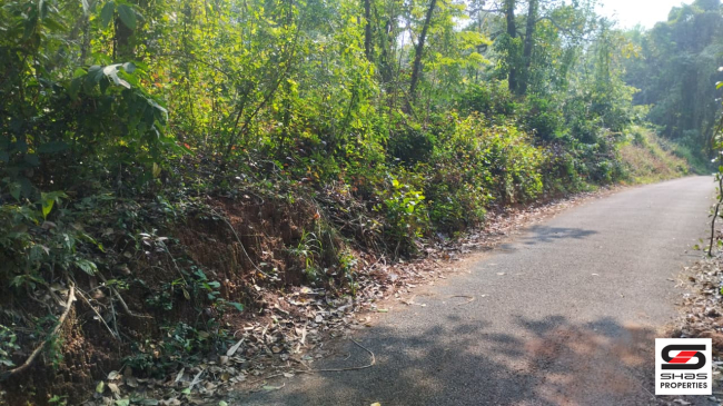 Residential land for sale in Thottada, Kannur