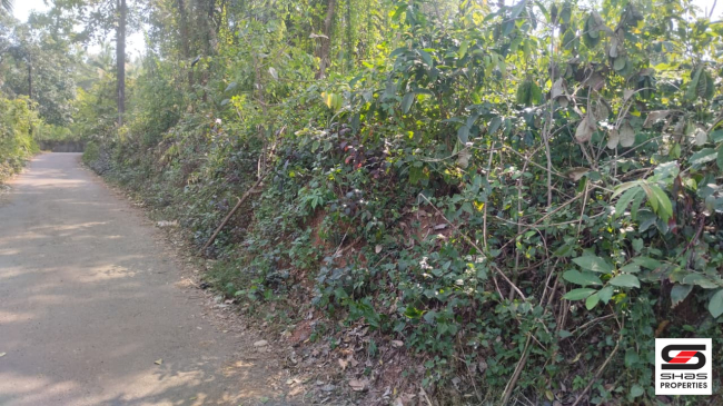 Residential land for sale in Thottada, Kannur