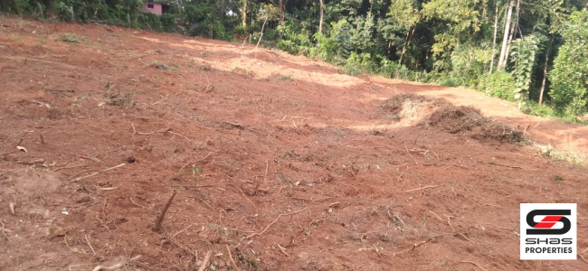 Land with house for sale in Sreekrishnapuram, Palakkad