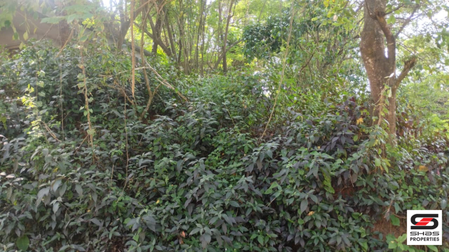 House plot for sale in Thottada, Kannur