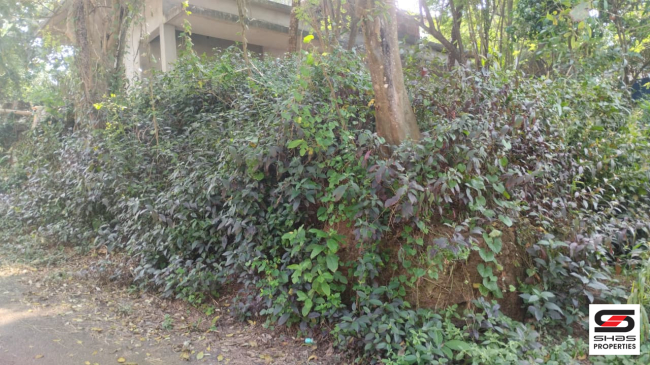 House plot for sale in Thottada, Kannur
