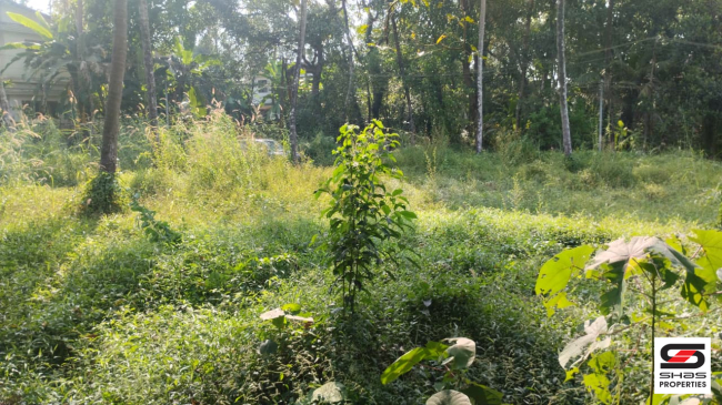 House plot for sale in Pallikunnu, Kannur