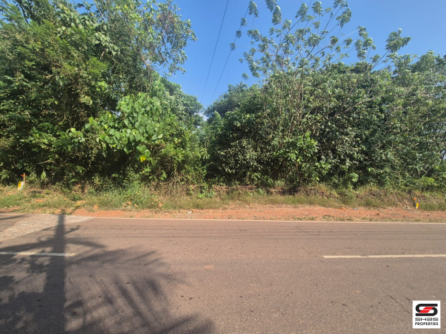 Land for sale in Nayattupara, Kannur