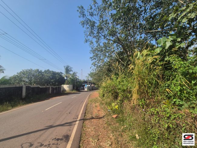 Land for sale in Nayattupara, Kannur