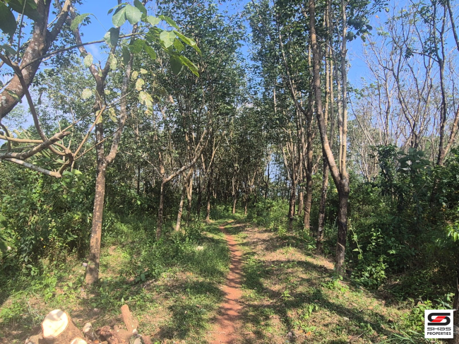 Land for sale in Nayattupara, Kannur