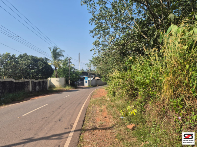Land for sale in Nayattupara, Kannur