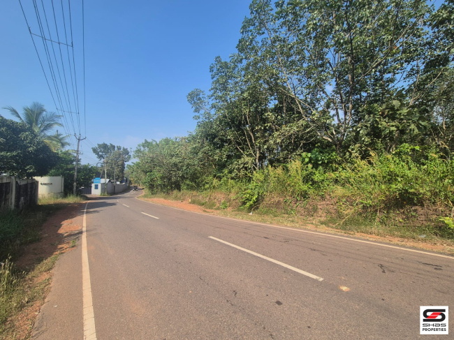 Land for sale in Nayattupara, Kannur
