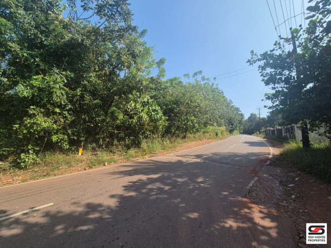 Land for sale in Nayattupara, Kannur
