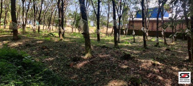 House plot for sale in Mannarkkad, Palakkad