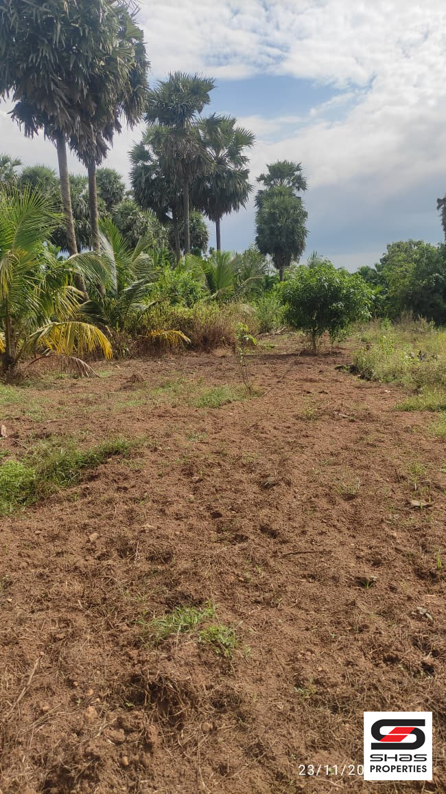 1 Acre land for sale in Walayar, Palakkad