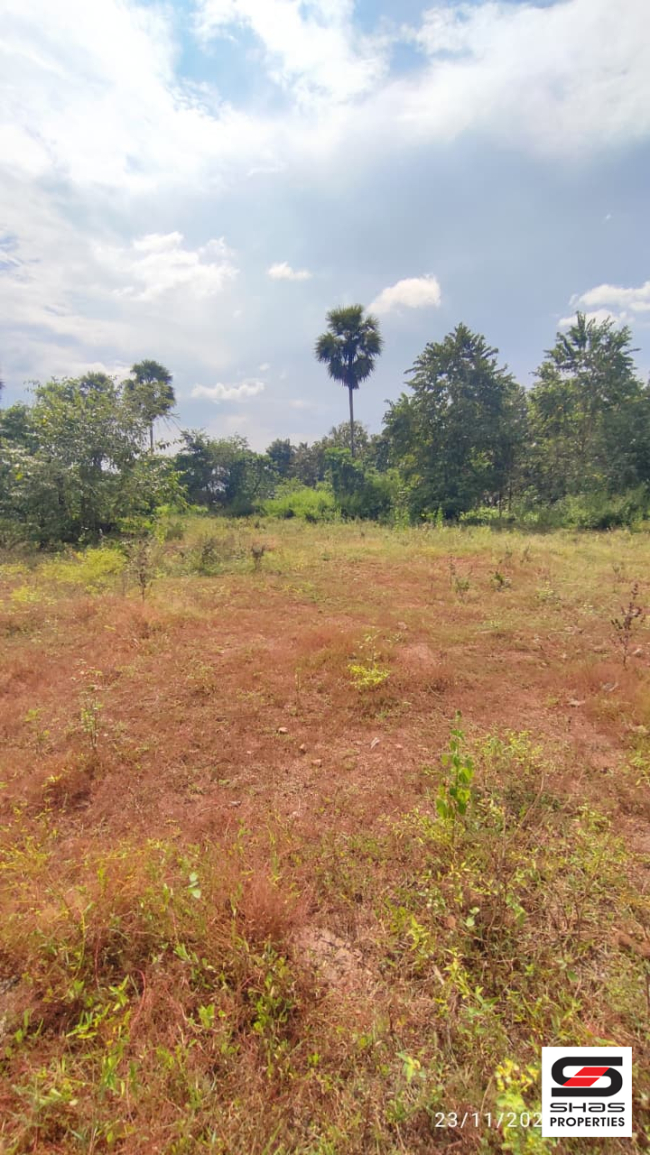 1 Acre land for sale in Walayar, Palakkad