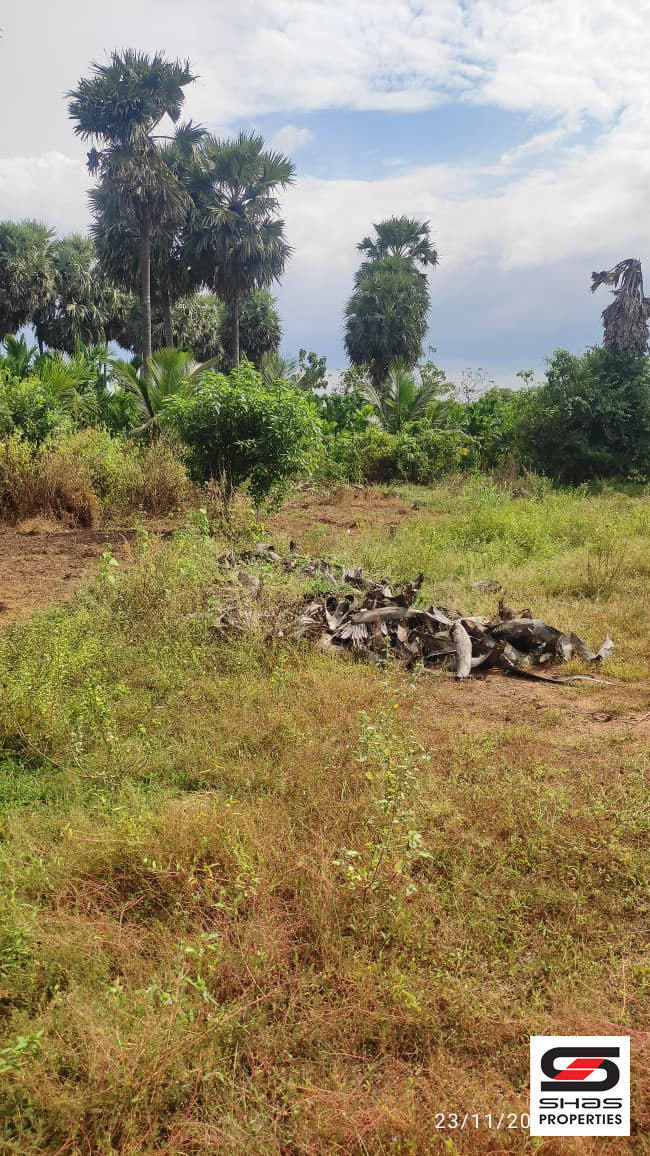 1 Acre land for sale in Walayar, Palakkad