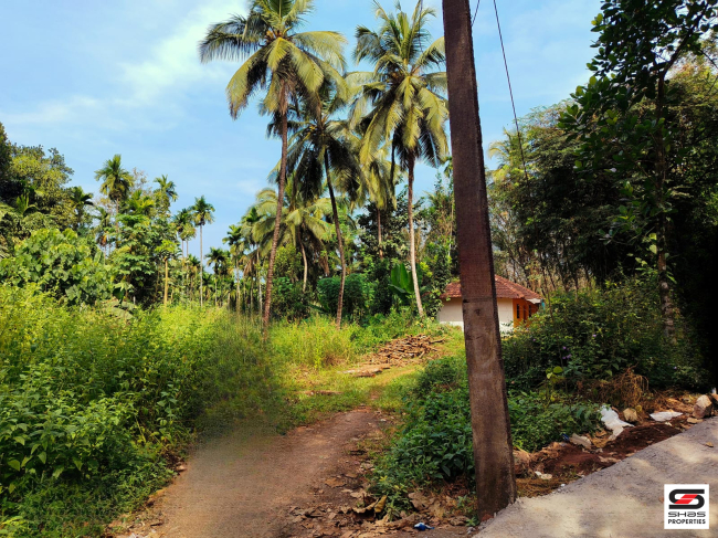 House plot for sale in Mannarkkad, Palakkad