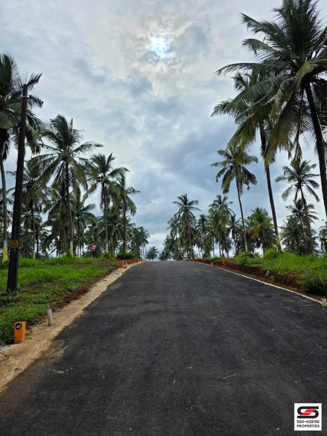 Premium plots for sale in Mannarkkad, Palakkad