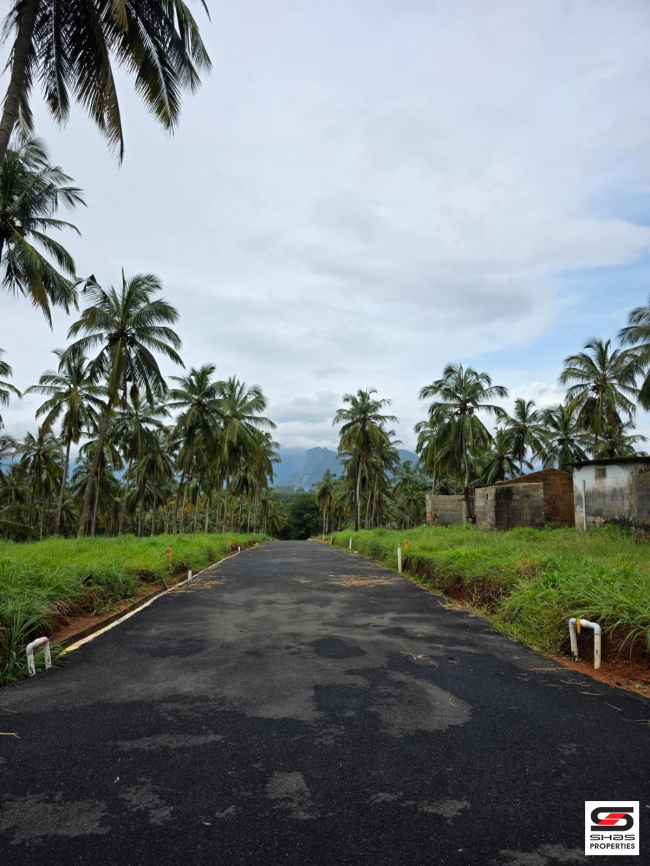 Premium plots for sale in Mannarkkad, Palakkad