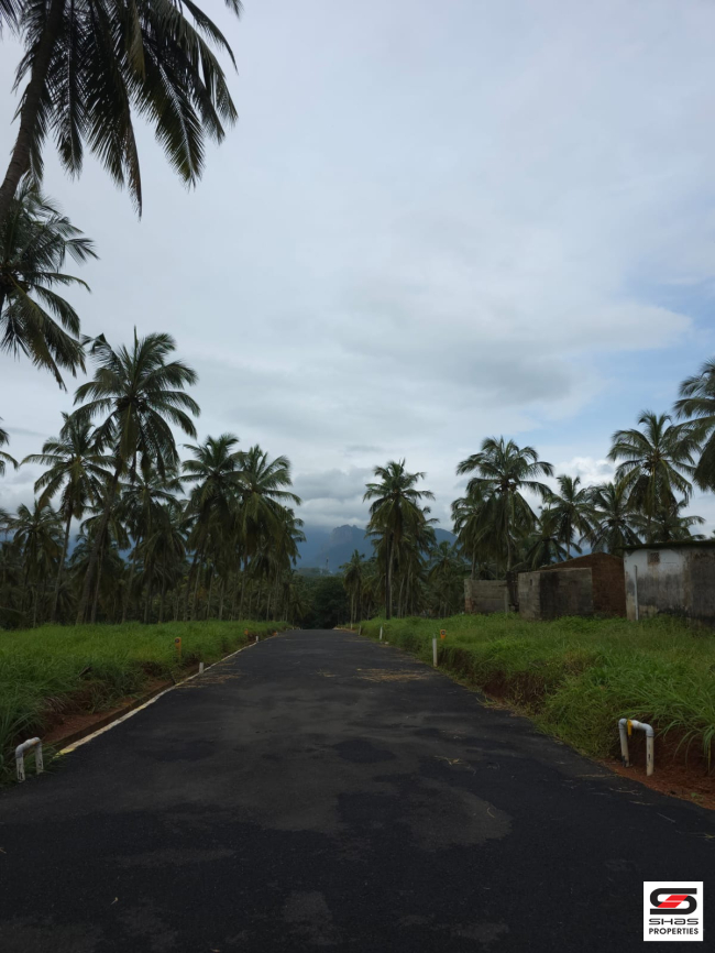 Premium plots for sale in Mannarkkad, Palakkad